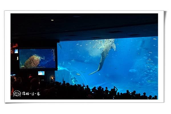 水族館012.jpg