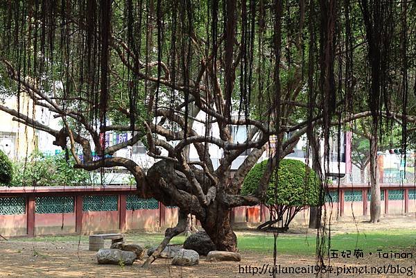 IMG_1684拷貝.jpg