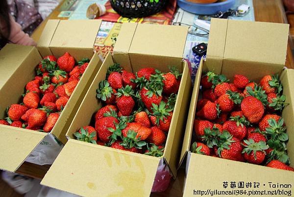 IMG_0250拷貝.jpg