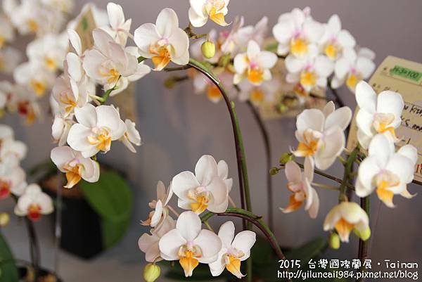 IMG_1582拷貝.jpg