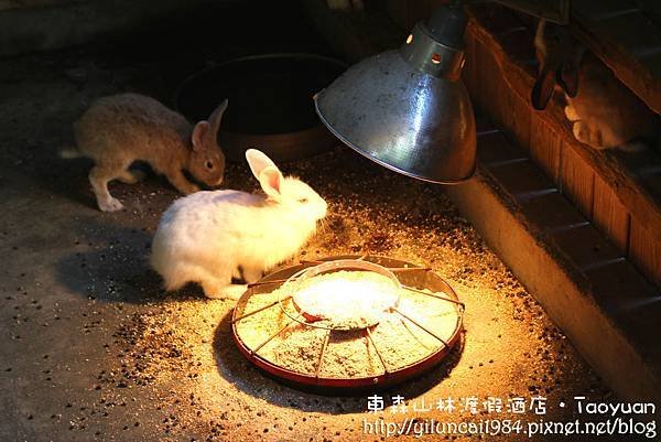 IMG_5637拷貝.jpg