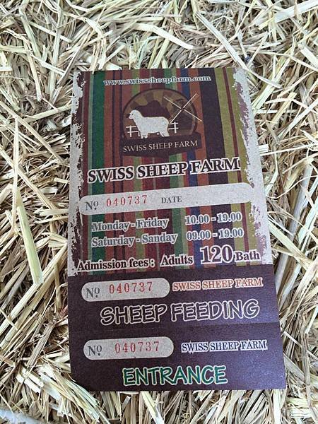 華欣綿羊農場swiss sheep farm