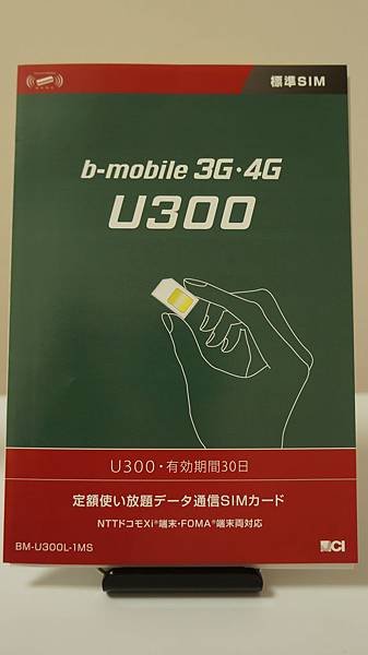 DSC04810