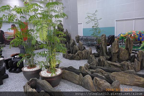 P1010927.JPG