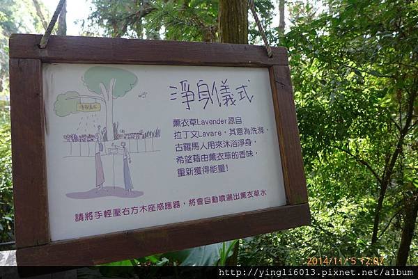 P1180885.JPG