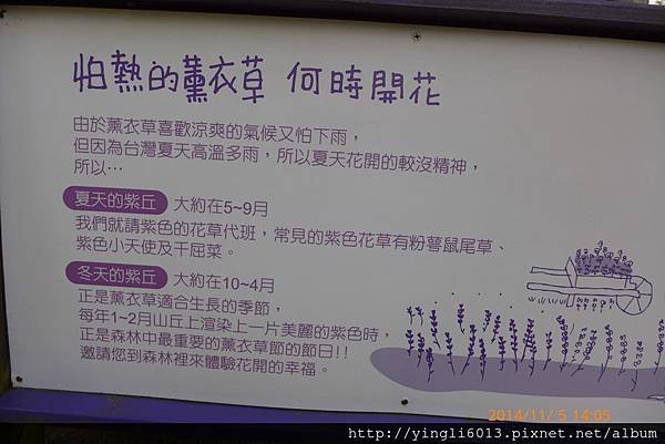 P1180970.JPG