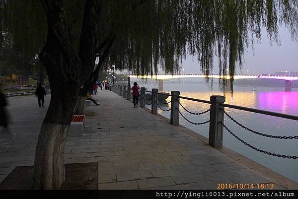 P1350269.JPG