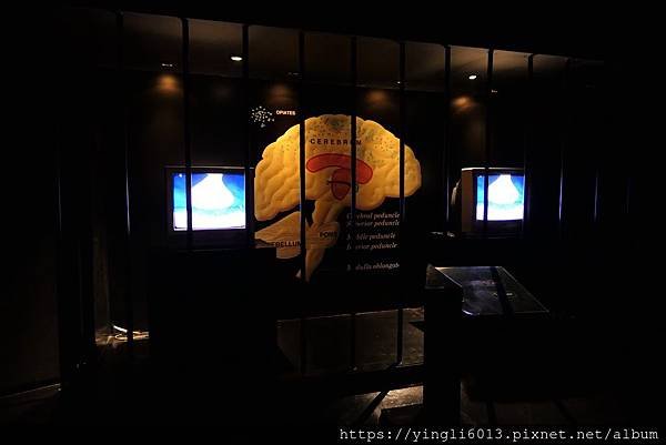 P1080227.JPG