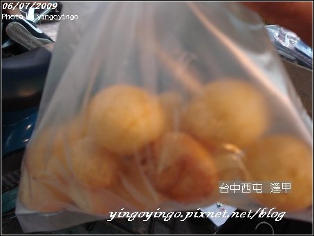 台中西屯_逢甲夜市_980607_03247.jpg