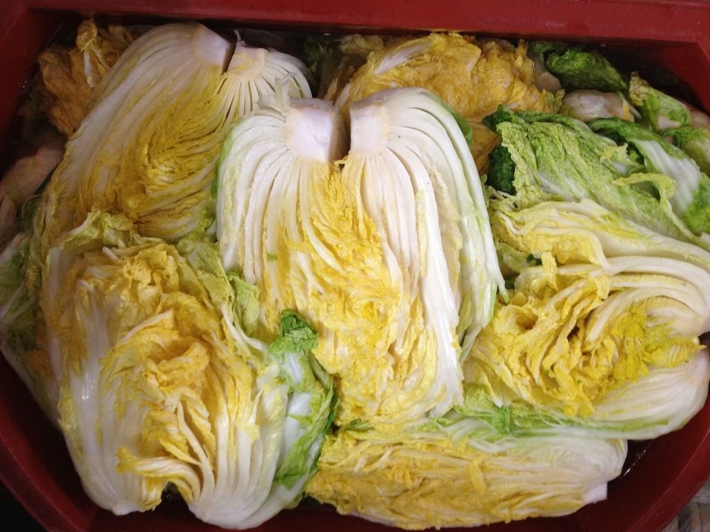 사진 2123