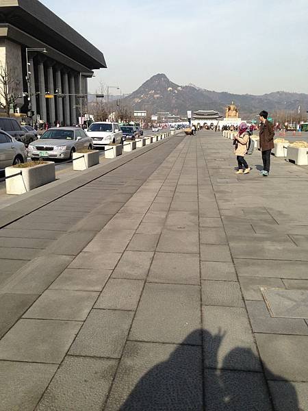 사진 2481