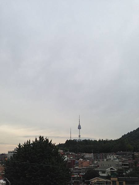 사진 4278