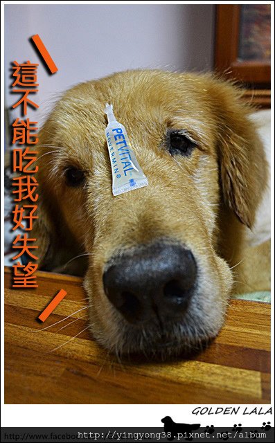 7拷貝.jpg