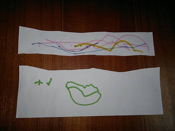 20120223945