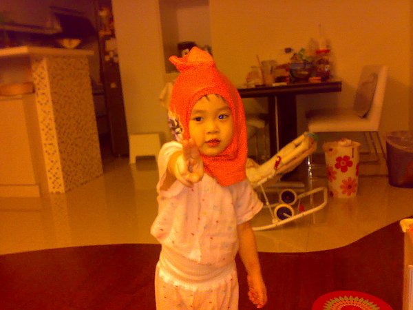 20100606229.jpg