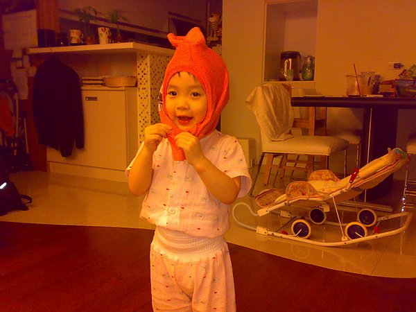 20100606230.jpg