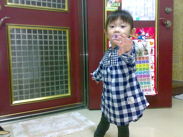 20100304205.jpg