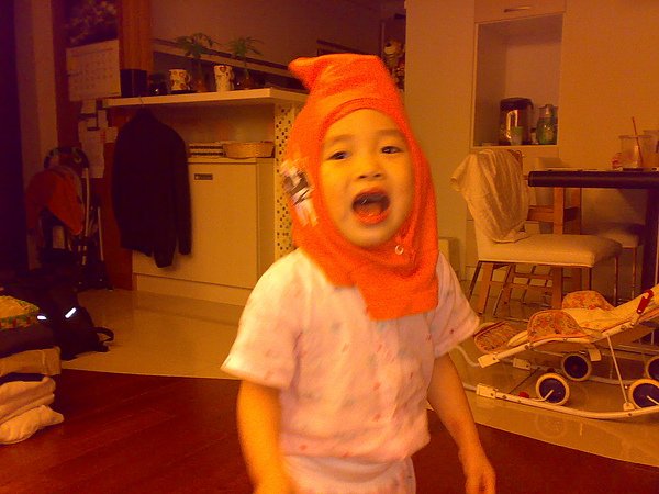 20100606232.jpg