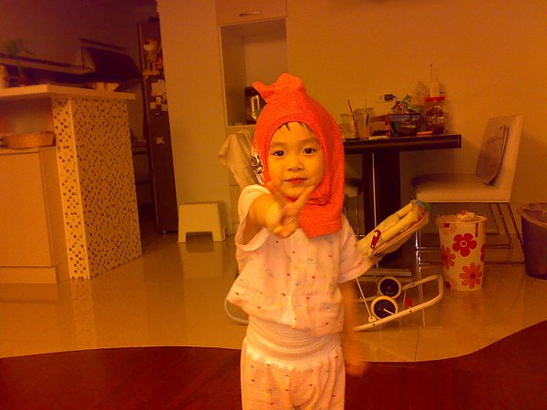 20100606228.jpg