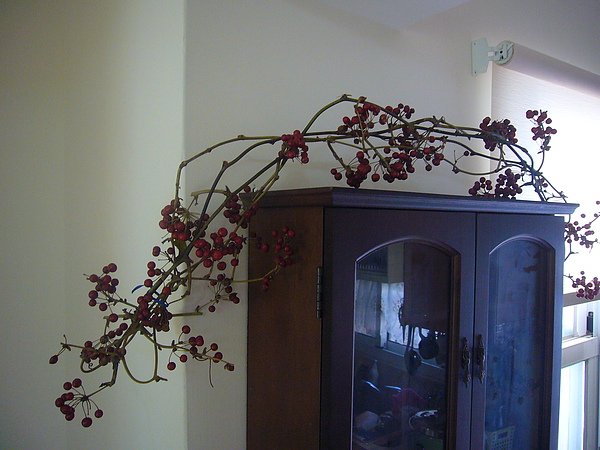 P1130994.JPG