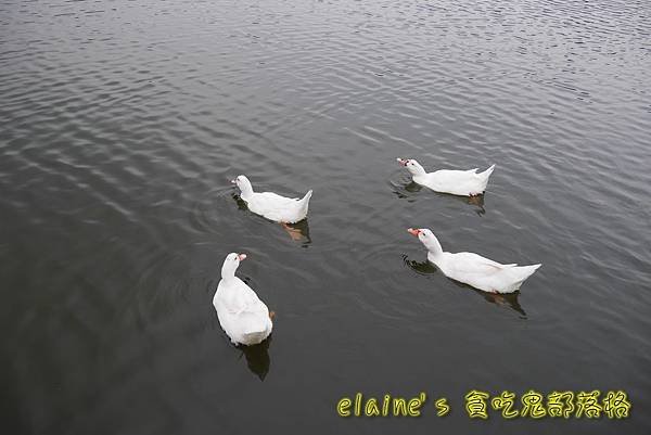 2017030501_015.jpg