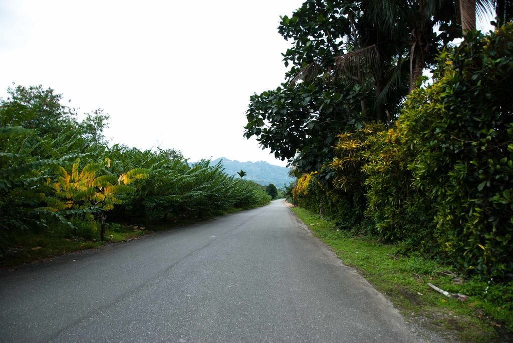 天晴-門口的恐怖道路.jpg