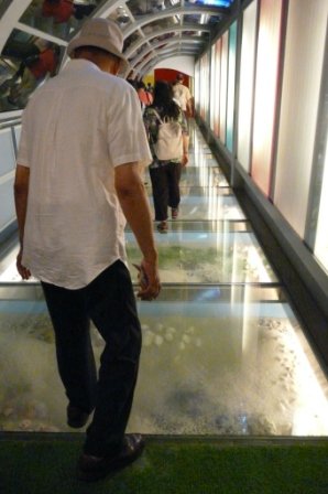 P1150807玻璃做的通道讓人如履薄冰般的小心謹慎.JPG
