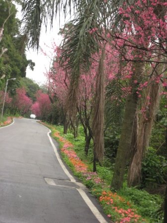IMG_0025.JPG