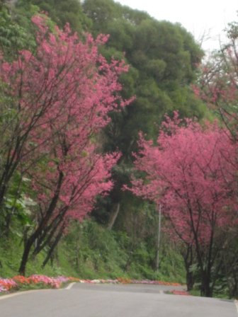 IMG_0032.JPG