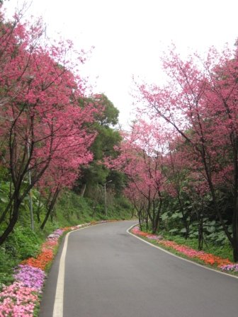 IMG_0042.JPG