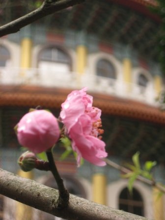 IMG_0094.JPG