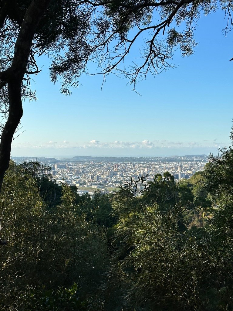 (未設定標題)登山