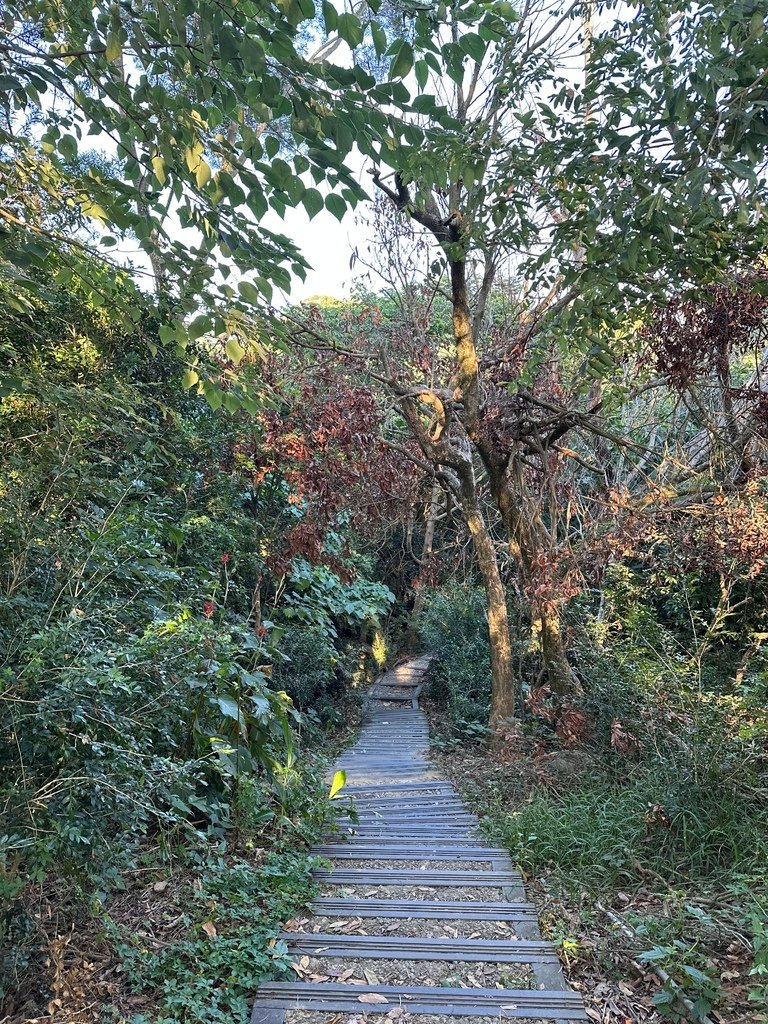 (未設定標題)登山