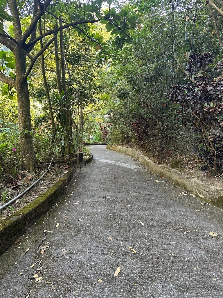 (未設定標題)登山