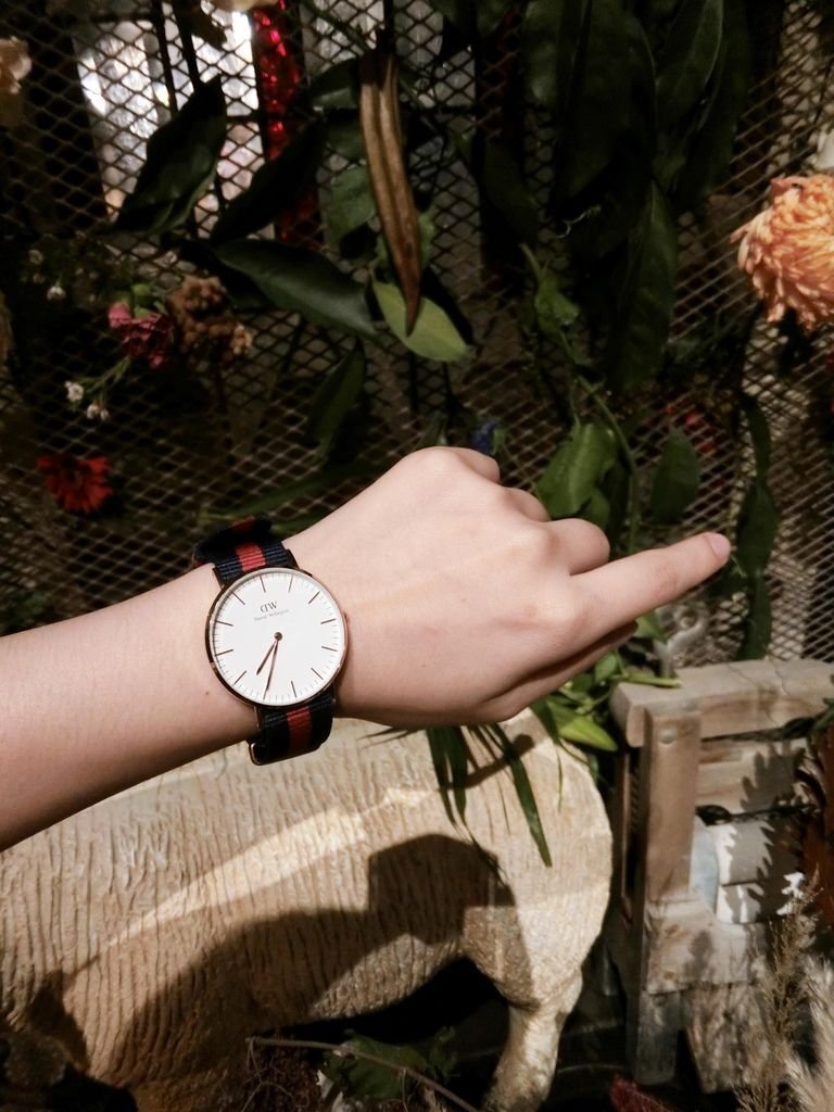 danielwellington/DW手錶/DW手錶推薦