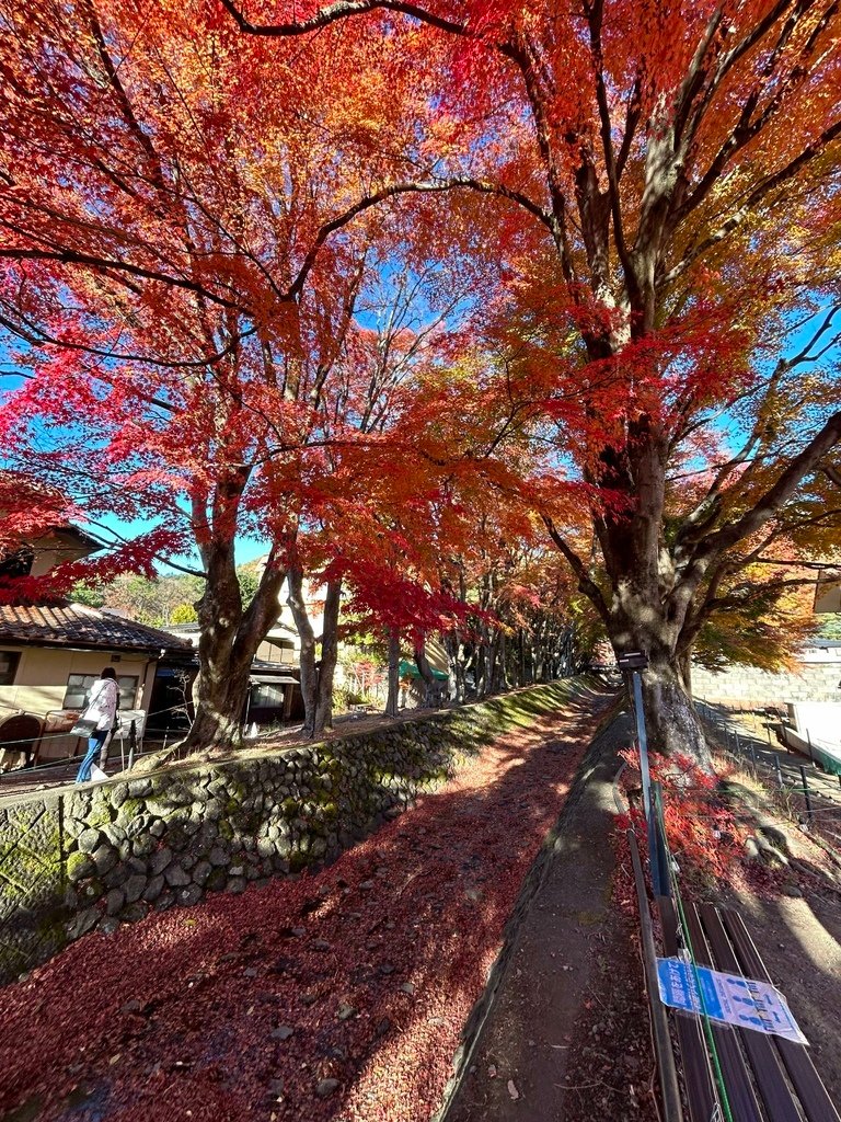 【日本住宿】－秀峰閣湖月｜河口湖住宿｜一泊二食渡假推薦｜完整