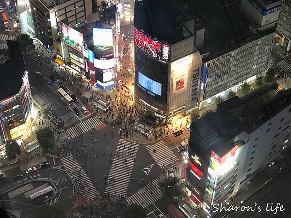 [2023東京自由行]超人氣東京夜景～澀谷天空shibuya