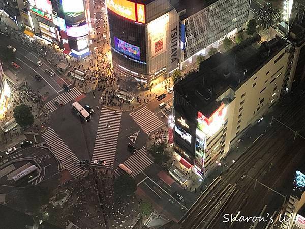 [2023東京自由行]超人氣東京夜景～澀谷天空shibuya