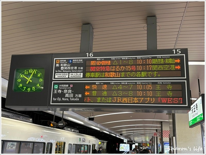 相片 2024-11-30 10 04 34.jpg
