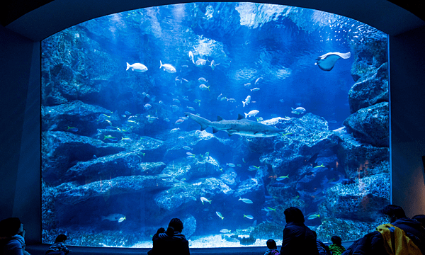 img-sumida-aqua-spot-02.png