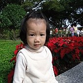 DSC00159.JPG