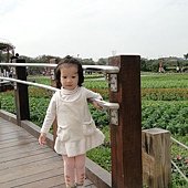 DSC00280.JPG