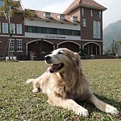 DSC00917.JPG
