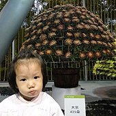 DSC00359.JPG