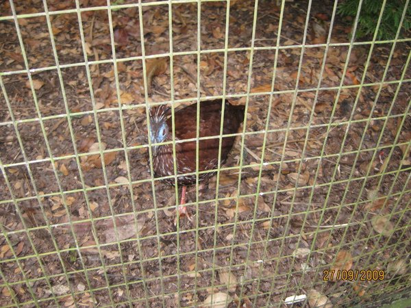 IMG_2751.JPG