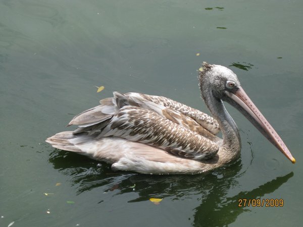 IMG_2771.JPG