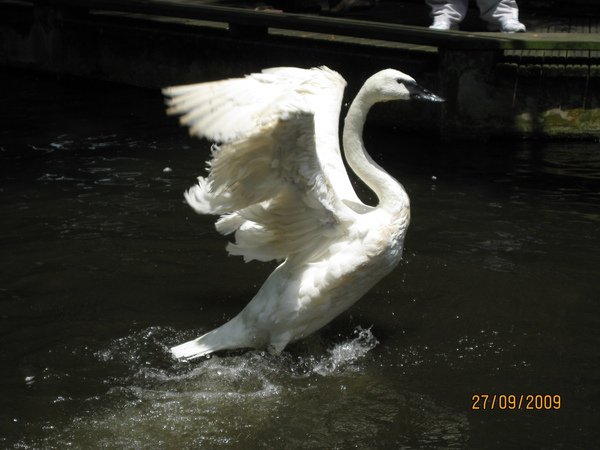 IMG_2835.JPG