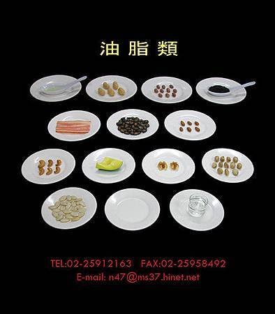 &quot;食物份量代換表&quot; 教學食物模型