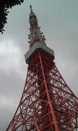 IMAG0764.jpg