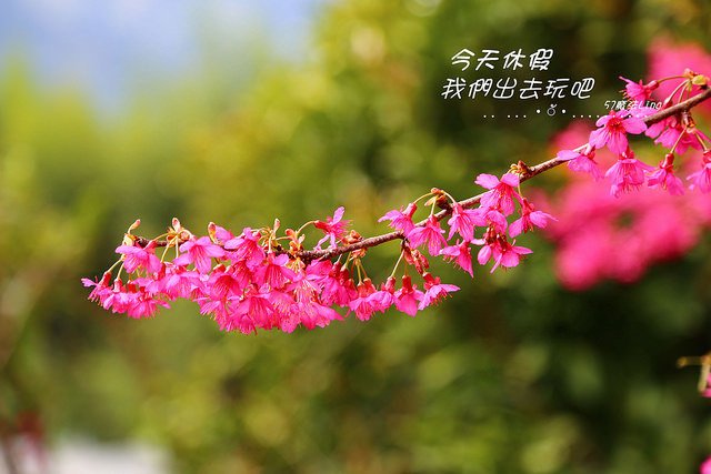 IMG_5841_副本